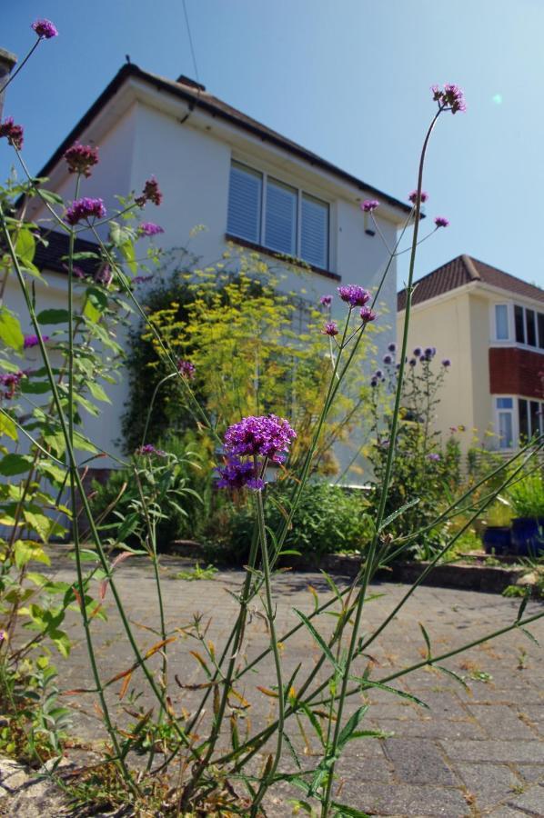 Windy Willums Christchurch (Dorset) Exterior photo